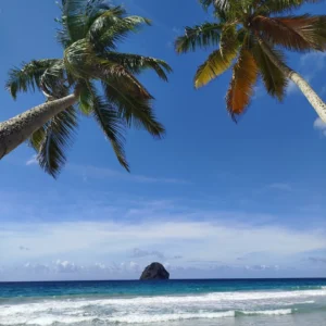 Massage Douceur des Caraïbes en duo