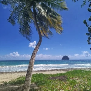 Massage Douceur des Caraïbes